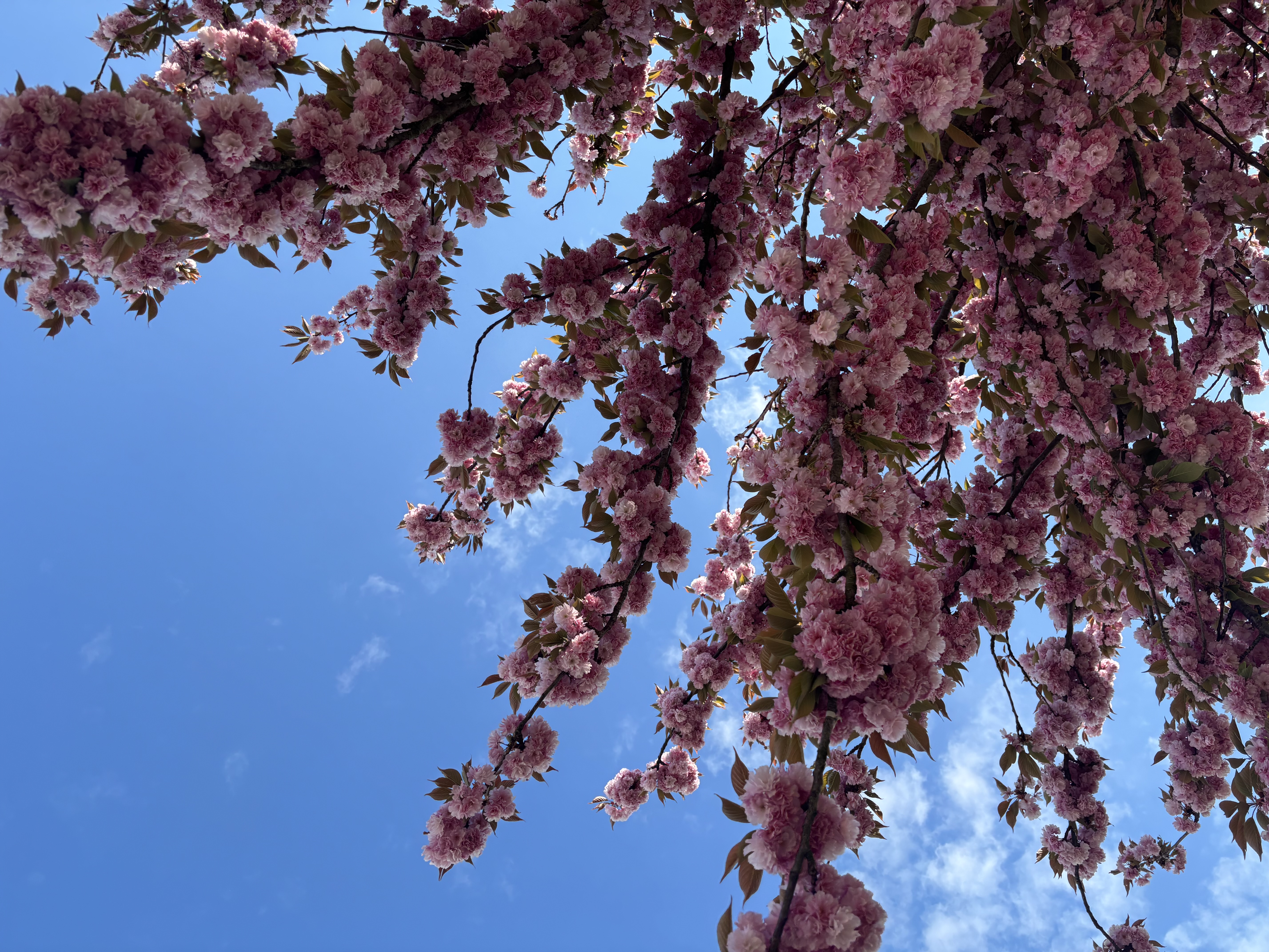 Mirno, podržavajuće okruženje za psihoterapiju